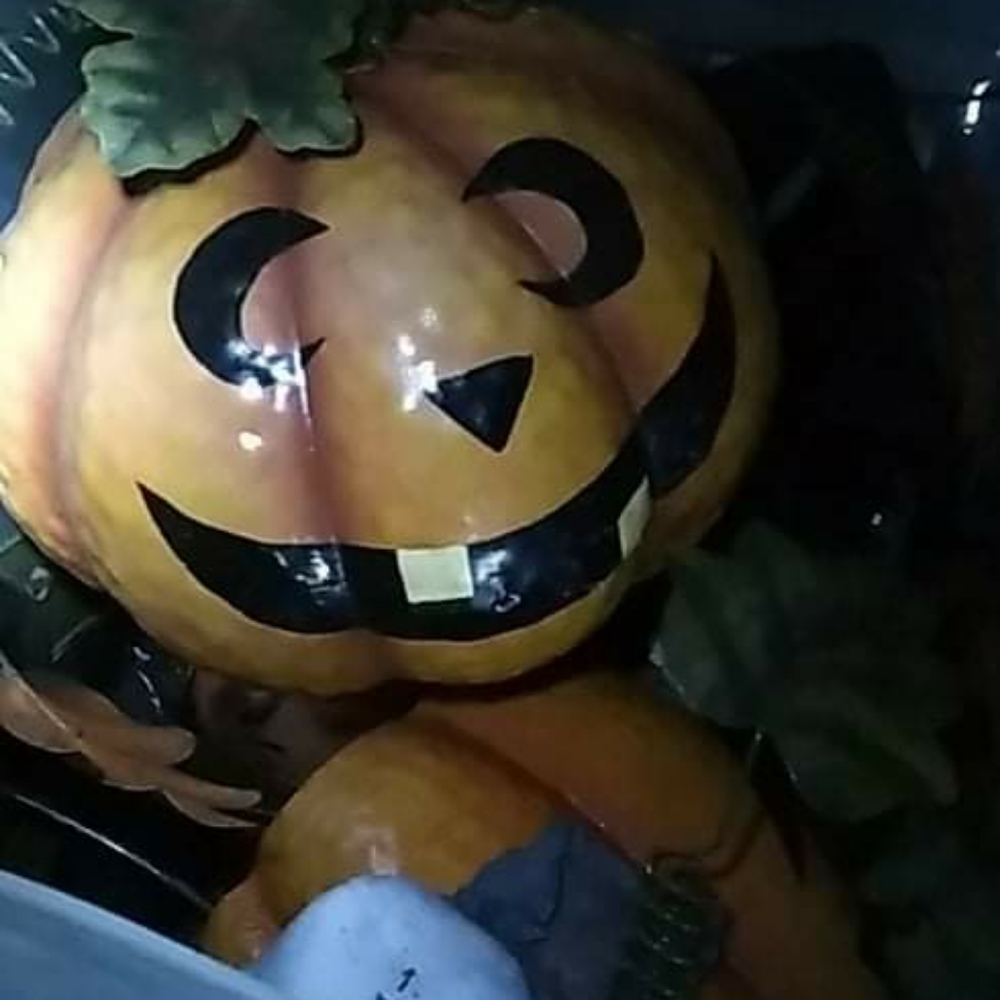 Halloween and Christmas decor